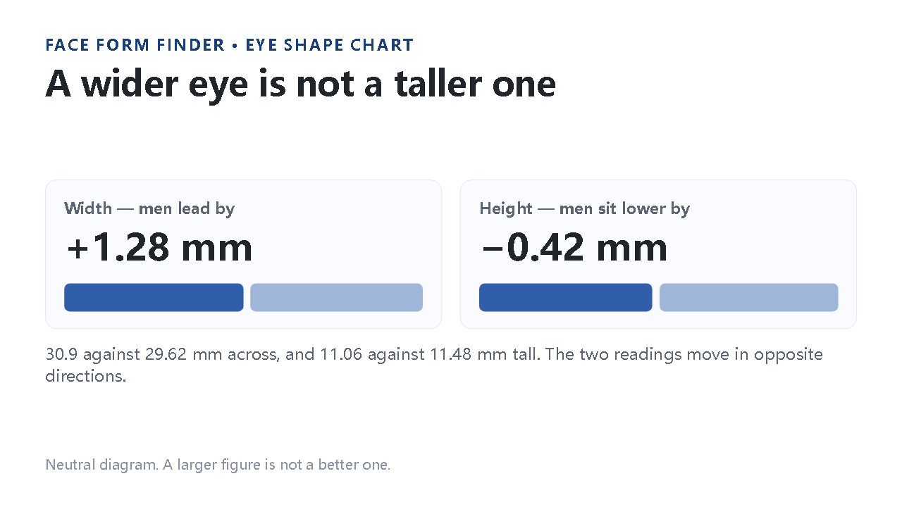 eye shape chart explanation, panel 2: A wider eye is not a taller one