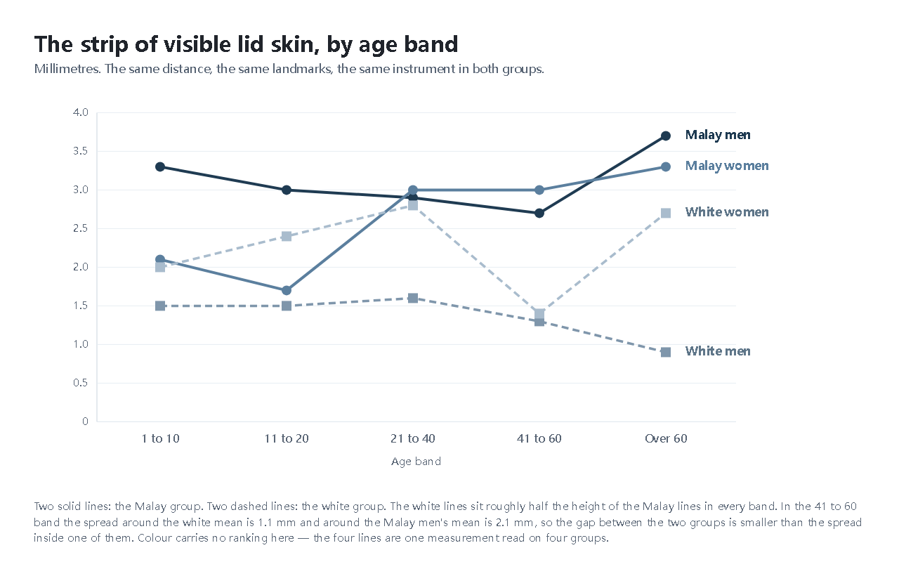 A line chart of the visible lid strip in millimetres against five age bands. Two upper lines show Malay men and Malay women, running between 1.7 and 3.7 mm. Two lower lines show white men and white women, running between 0.9 and 2.8 mm. The white lines sit about half the height of the Malay lines across the five bands.